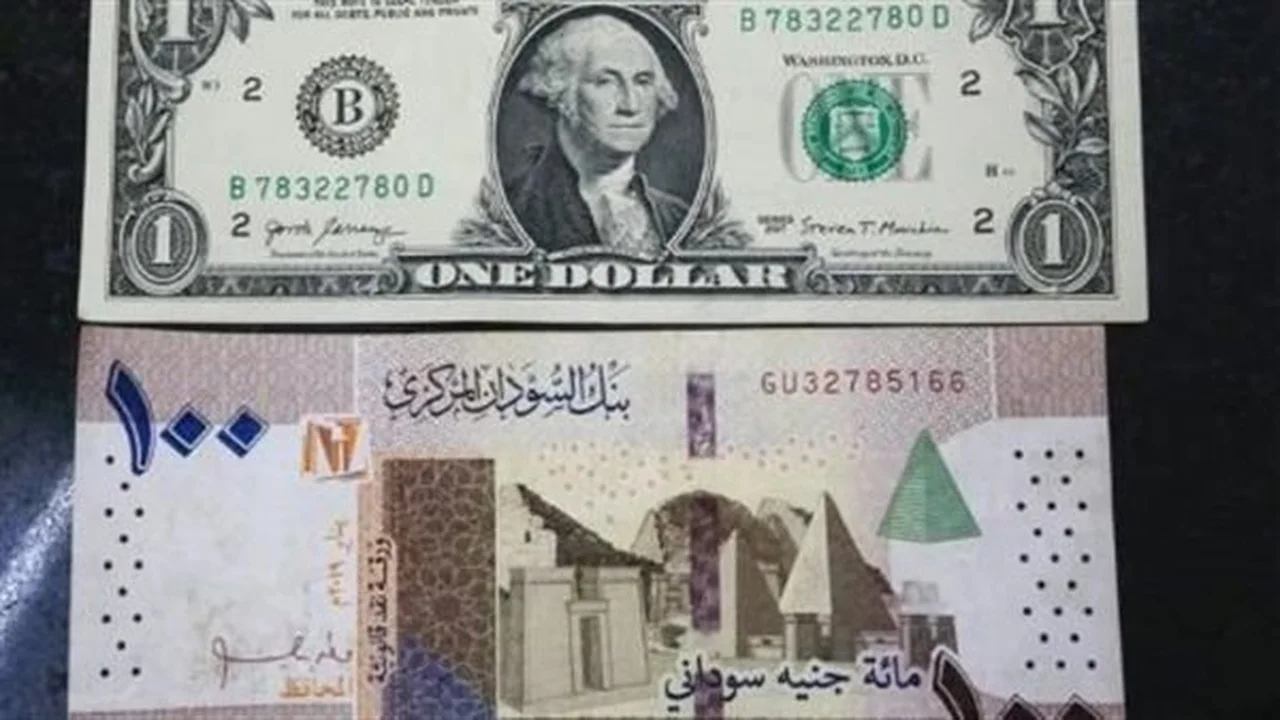 كيف تحرك سعر الجنيه السوداني مقابل الدولار في بنك السودان المركزي؟